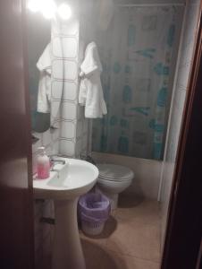 uma casa de banho com um lavatório, um WC e um chuveiro em Hospedería Lucano em Córdoba