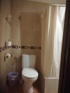 y baño con aseo y cortina de ducha. en Hospedería Lucano, en Córdoba