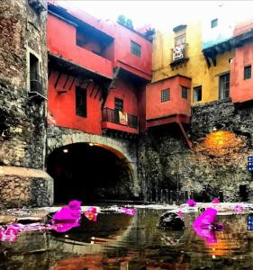 uma pintura de um túnel com flores rosas na água em Barranca12 em Guanajuato