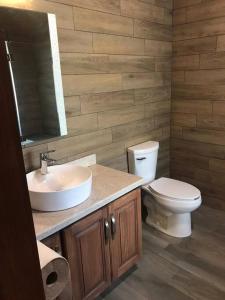 La salle de bains est pourvue d'un lavabo, de toilettes et d'un miroir. dans l'établissement Cabaña Luz 2, à Mazamitla