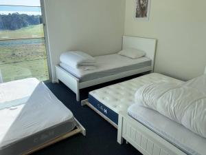 a room with three bunk beds and a window at The Golf House at St Andrews Beach in Fingal