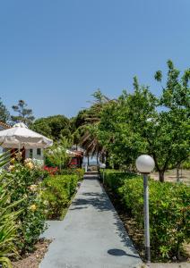 Gallery image of Vicky Studios and Apartments in Skala Kallonis
