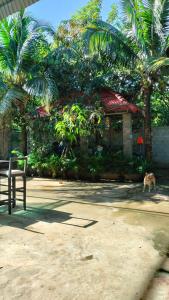 Fotografie z fotogalerie ubytování La maison de Soriya - Work & Stay v destinaci Kampot