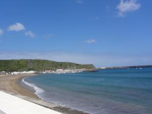 a view of a beach with the ocean at Quinta do Chico Feijão in Lajes