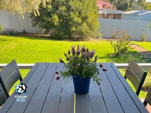 a blue picnic table with a potted plant on it at 3BR Updated Coastal Beach House in Funky Port Elliot in Port Elliot +11 photos