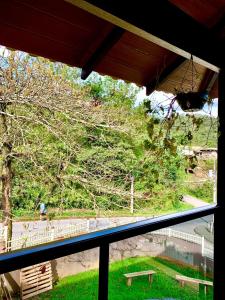 una vista da una finestra di un cortile con un albero di Hostel Portal da Montanha a Blumenau