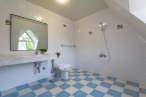 a bathroom with a toilet and a sink and a mirror at Slow Pine Homestay in Sanxing