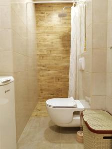 a bathroom with a toilet and a shower at Apartman Djuras 1 in Mali Mokri Lug