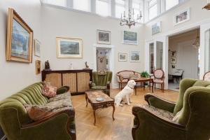 a living room with a dog sitting in the middle at Guesthouse Galtafell in Reykjav&iacute;k