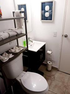 ein Badezimmer mit einem weißen WC und einem Waschbecken in der Unterkunft Elegancia Acogedora: Tu Rincón en San Juan in San Juan