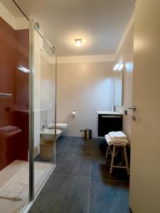 a bathroom with a shower and a toilet and a sink at Il Nido del Pettirosso - by Osteria del Pettirosso in Rovereto