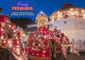 a group of people dressed in red costumes in front of a cruise ship at Shani Residence Kandy in Kandy