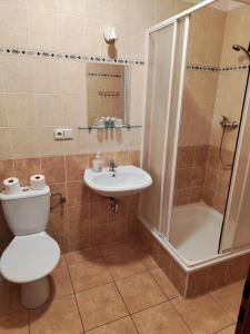 a bathroom with a toilet and a sink and a shower at Hotel O.K. 1 in Beroun