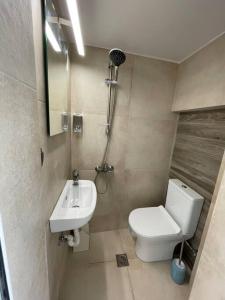 La petite salle de bains est pourvue de toilettes et d'un lavabo. dans l'établissement Maison centre Athènes, à Athènes