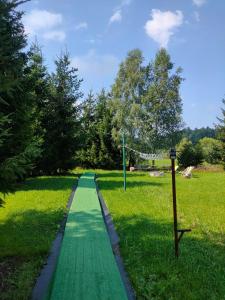 zielona ścieżka w środku parku w obiekcie Marchewkowe Pole w mieście Sośnina