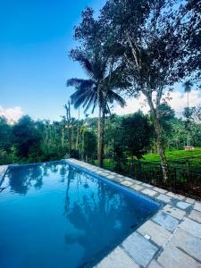 a swimming pool with a palm tree next to a fence at LetStay Misty Wind Holiday Homes in Vythiri