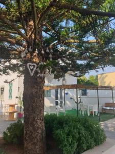 un corazón colgando de un árbol en un patio en B&B il MENHIR, en Lequile