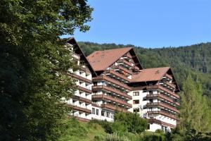 a large apartment building with a brown roof at Apartment d ´Freizeit in Bad Goisern
