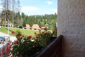 Garður fyrir utan IN Hotel Zlatar ex Zlatarski Biseri
