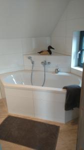 a bath tub with a bird sitting on top of it at Wohnung Nr 4 in Bargischow