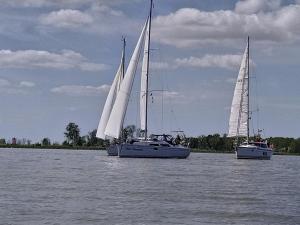 two boats with white sails in the water at Wohnung Nr 4 in Bargischow