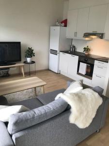 een woonkamer met een bank en een keuken bij 1-bed for 2 pers Central in Lillestrøm in Lillestrøm
