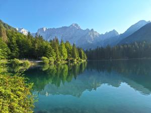 a view of a lake with mountains in the background at ALPSKA ROŽA in Kranjska Gora