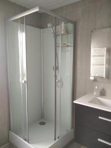 a bathroom with a shower and a sink at La Tanière des Pandas in Chabris