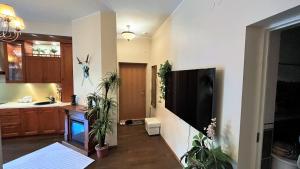 ナルヴァにあるCaesar Apartmentsの鉢植えの植物と壁に大型テレビが備わるキッチン