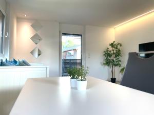 TV o dispositivi per l'intrattenimento presso homy City Lodge in Feldkirch, Grenznähe und doch Zentral