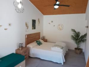 a bedroom with a bed and a ceiling fan at Mar i Cel -Chalet con piscina privada- in Peniscola +25 photos