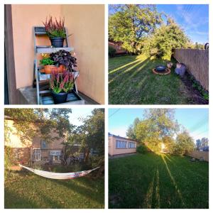quatro fotos de um quintal com uma rede na relva em Apartament MariaNova 100m2 Zabrze Pawłów em Zabrze