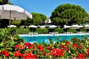 una piscina del complejo con sombrillas y flores rojas en ISA-Residence with swimming-pool in Marina d Bibbona at only 300 m from the beach, en Marina di Bibbona