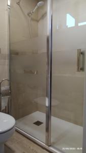 eine Glasdusche im Bad mit WC in der Unterkunft Apartamento agradable 2 in Madrid