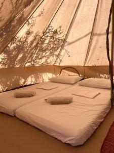 1 cama en una tienda de campaña con sábanas y almohadas blancas en La ViTa in land - between olives and almonds, en Noto