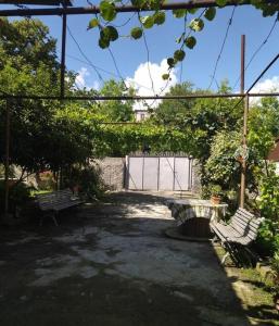 Gallery image of LeoSani in Lagodekhi +17 photos