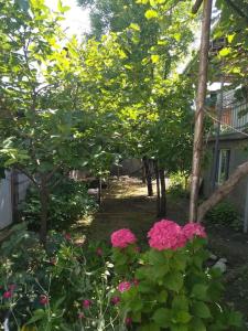 a garden with pink flowers and trees at LeoSani in Lagodekhi