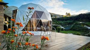 Zahrada ubytování A'moss Farmstay