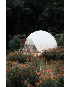 ein großes weißes Zelt auf einem Blumenfeld in der Unterkunft A'moss Farmstay in Cameron Highlands