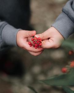 Hosté ubytování A'moss Farmstay