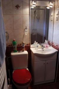 uma casa de banho com um WC vermelho e um lavatório. em Hócza Apartman em Bogács