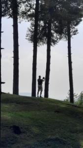 a man standing on a hill next to trees at King of kings Houseboat in Srinagar
