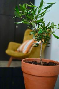 Gambar di galeri bagi Olivia Apartment di Alexandroúpolis
