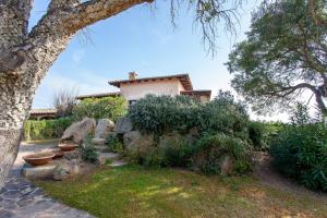 a house with a tree and some bushes at Villa Briziola in San Teodoro