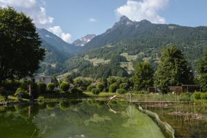 a view of a lake with mountains in the background at Hotel Vitalquelle Montafon in Schruns