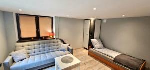 a living room with a blue couch and a window at Apartament Leśny in Nowy Targ