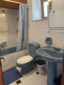 a bathroom with a blue toilet and a sink at Melianto House in Mythimna +47 photos