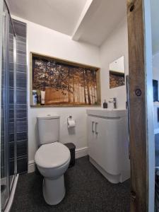 a bathroom with a white toilet and a sink at The Viewpoint in Deal