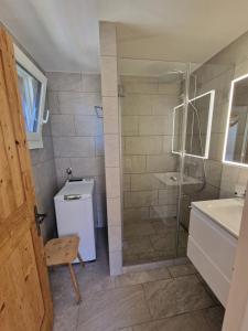 a bathroom with a shower and a toilet and a sink at Chesa Mutaun in Silvaplana