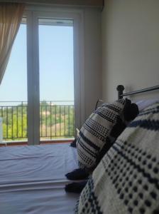 een slaapkamer met een bed en een groot raam bij Greg's apartment in Argostoli